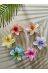 Rengarenk Lotus Çiçeği Mandal Toka 6'lı