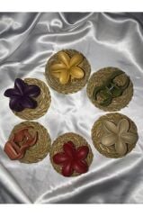 Kadın Büyük Boy 6'Lı (8cm) Renkli Lotus Toka Seti