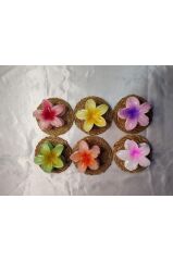 RENGARENK LOTUS ÇİÇEĞİ MANDAL TOKA 6'LI