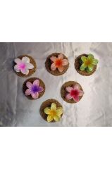 RENGARENK LOTUS ÇİÇEĞİ MANDAL TOKA 6'LI