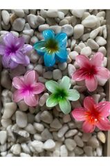 6'LI RENGARENK LOTUS ÇİÇEĞİ MANDAL TOKA