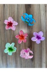 6'LI RENGARENK LOTUS ÇİÇEĞİ MANDAL TOKA