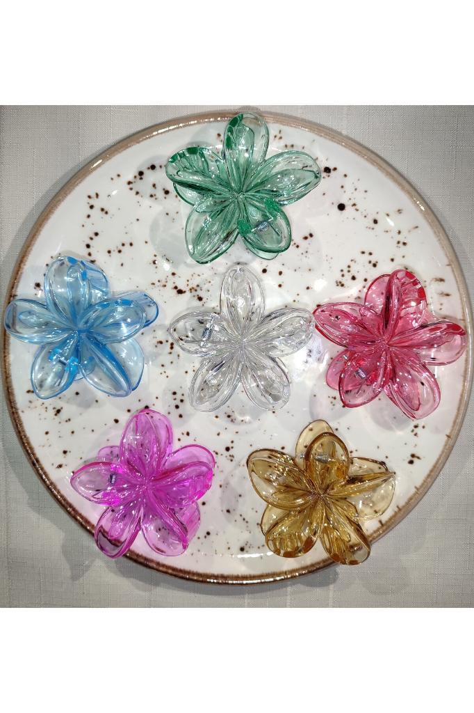 Kadın Büyük Boy 6'Lı (8cm) Renkli Lotus Toka Seti