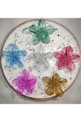 Kadın Büyük Boy 6'Lı (8cm) Renkli Lotus Toka Seti