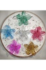 Kadın Büyük Boy 6'Lı (8cm) Renkli Lotus Toka Seti