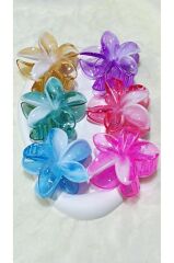 Kadın Büyük Boy 6'Lı (8cm) Renkli Lotus Toka Seti