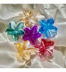 Kadın Büyük Boy 6'Lı (8cm) Renkli Lotus Toka Seti