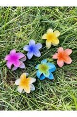 Küçük Boy 6'lı Lotus Çiçeği Mandal Toka 4.5 Cm