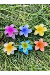 Küçük Boy 6'lı Lotus Çiçeği Mandal Toka 4.5 Cm