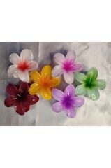 6'LI RENGARENK LOTUS ÇİÇEĞİ MANDAL TOKA 8 cm