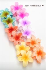 6'lı Rengarenk Lotus Çiçeği Mandal Toka 8 Cm
