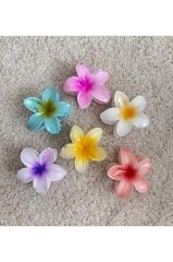 6'lı Rengarenk Lotus Çiçeği Mandal Toka 8 Cm Tek Ebat