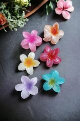 6'lı Rengarenk Lotus Çiçeği Mandal Toka 8 Cm M BEDEN