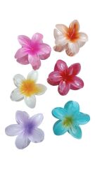 6'lı Rengarenk Lotus Çiçeği Mandal Toka 8 Cm M BEDEN