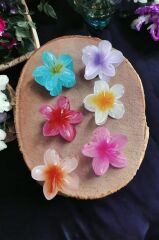 6'lı Rengarenk Lotus Çiçeği Mandal Toka 8 Cm M BEDEN