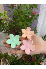 Kadın 3’lü Renkli Papatya Mandal Toka