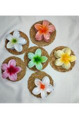 6'lı Rengarenk Lotus Çiçeği Mandal Toka 8 Cm