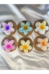 6'lı Rengarenk Lotus Çiçeği Mandal Toka 8 Cm