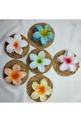 6'lı Rengarenk Lotus Çiçeği Mandal Toka 8 Cm ÇOK SEVİLEN ÇOK RENKLİ 2.SET - Tek Ebat