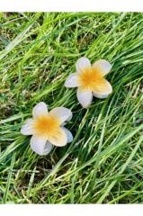2'li Küçük Boy Lotus Çiçeği Mandal Toka 4.5 Cm