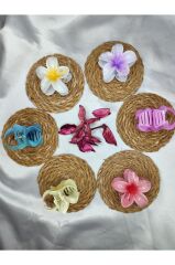 Orta Boy 6'lı Rengarenk Lotus Çiçeği Mandal Toka 6 Cm