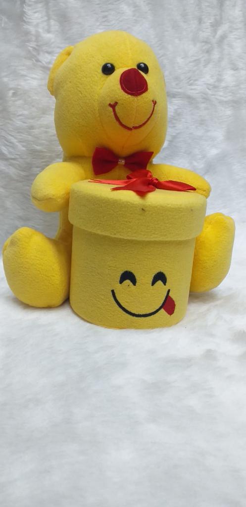 PELUŞ AYI VAZOLU